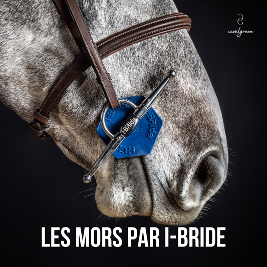 Zoom sur les mors I-Bride