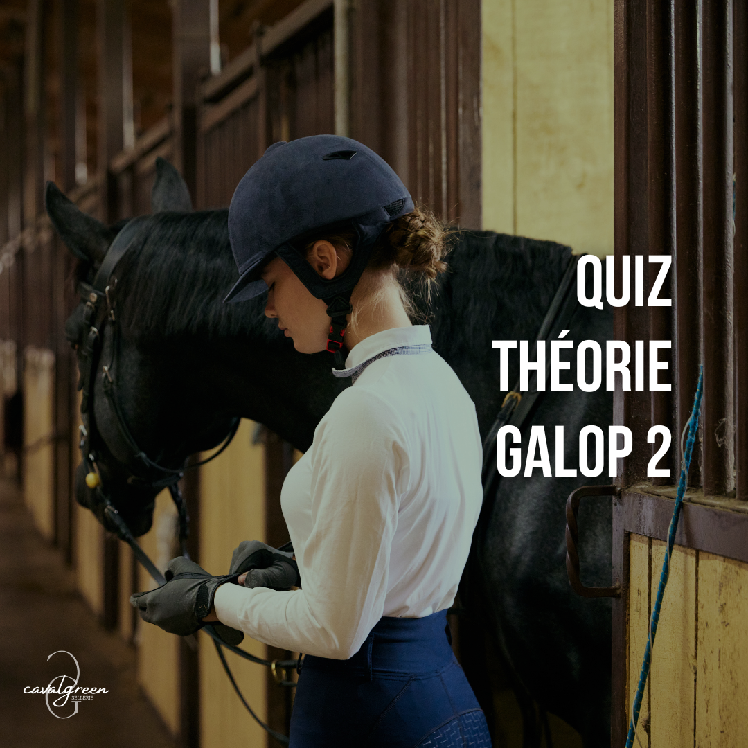 Quiz Galop 2
