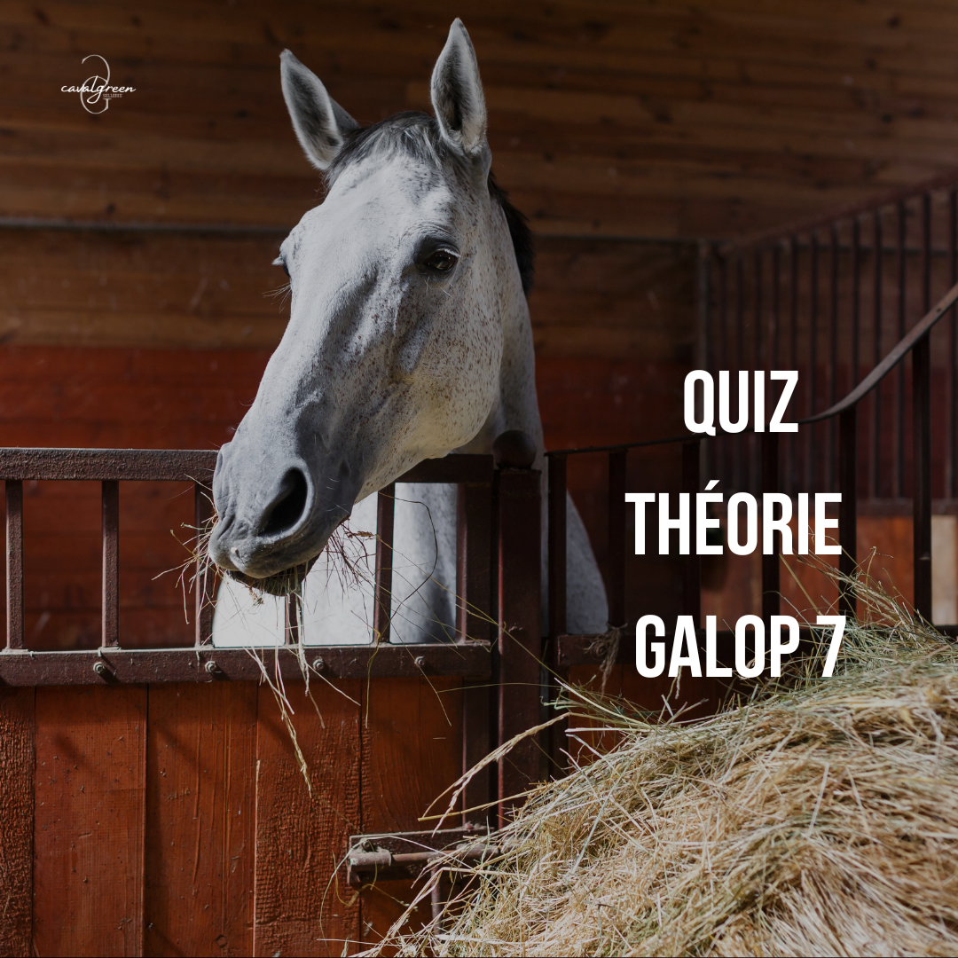Quiz Galop 7