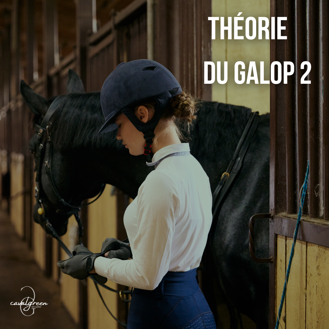 Préparer la théorie du Galop 2