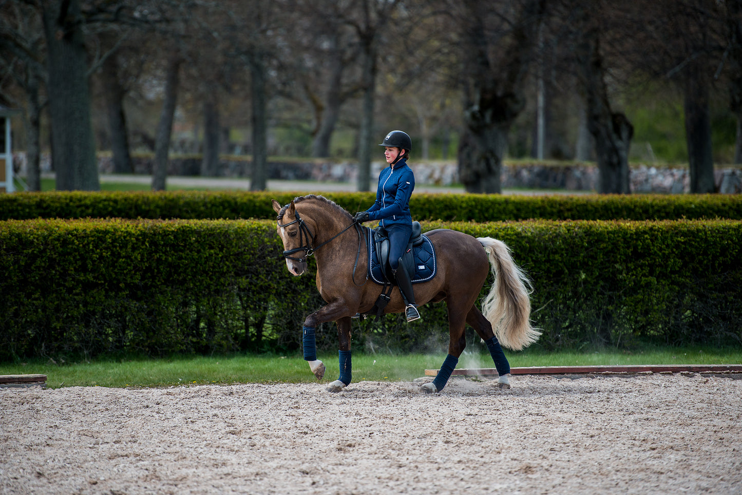 Bandes de polo Midnight Blue - Equestrian Stockholm