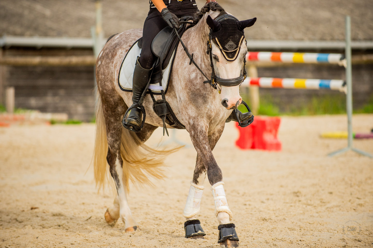 Tapis de dressage Mamma Mia Blanc - Oxxer