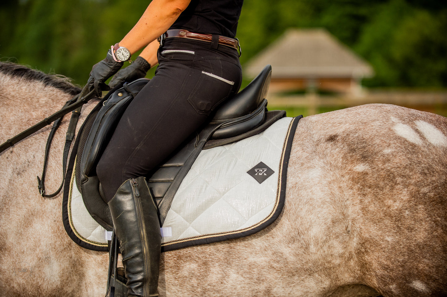 Tapis de dressage Mamma Mia Blanc - Oxxer