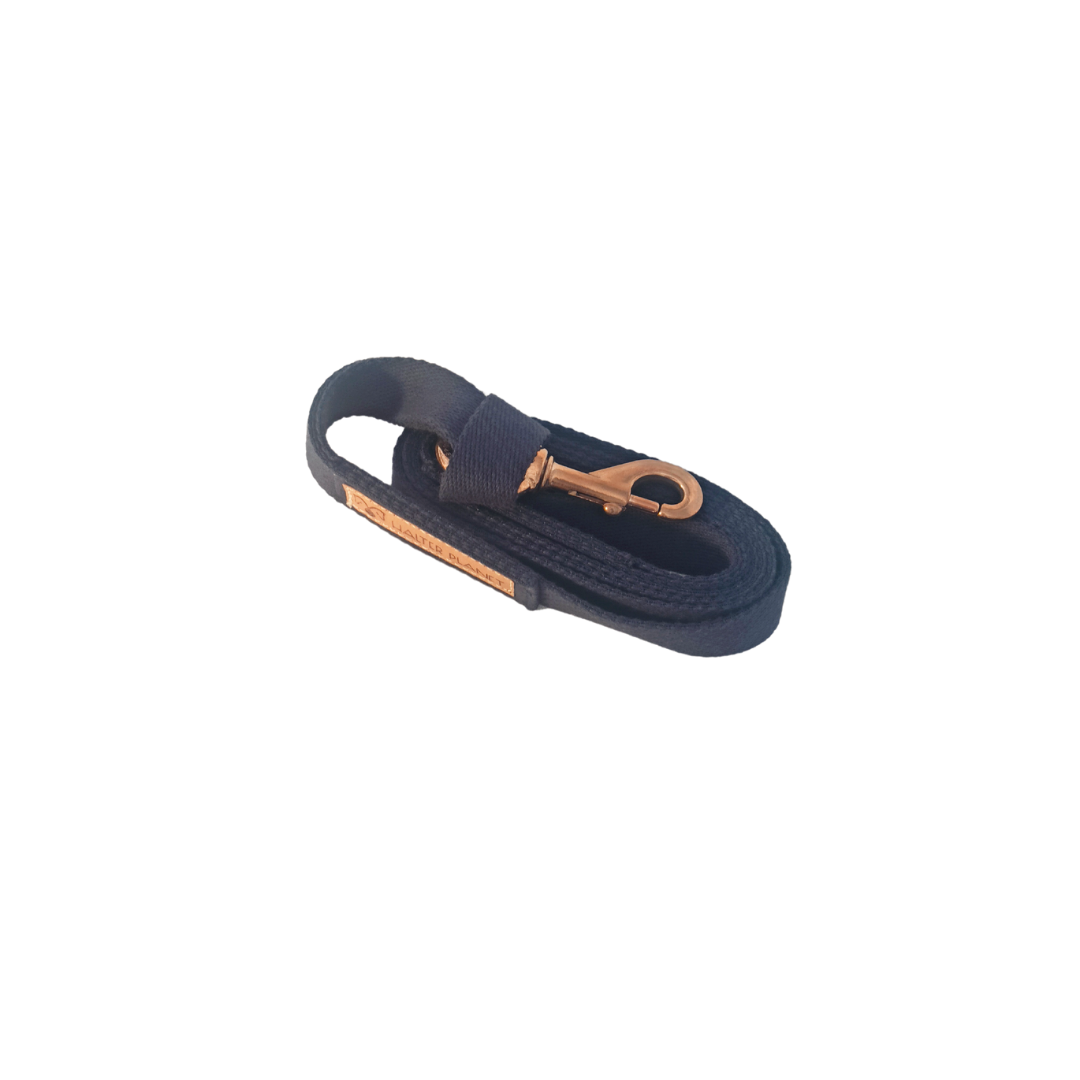 Longe Merlin - Halter Planet