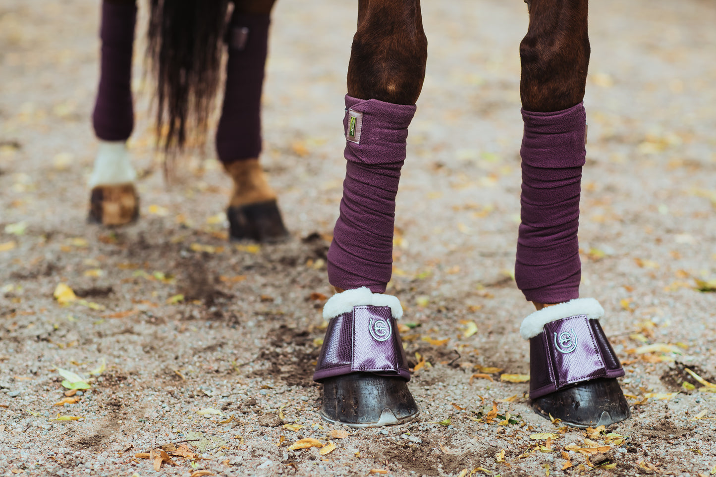 Bandes de polo Orchid Bloom - Equestrian Stockholm