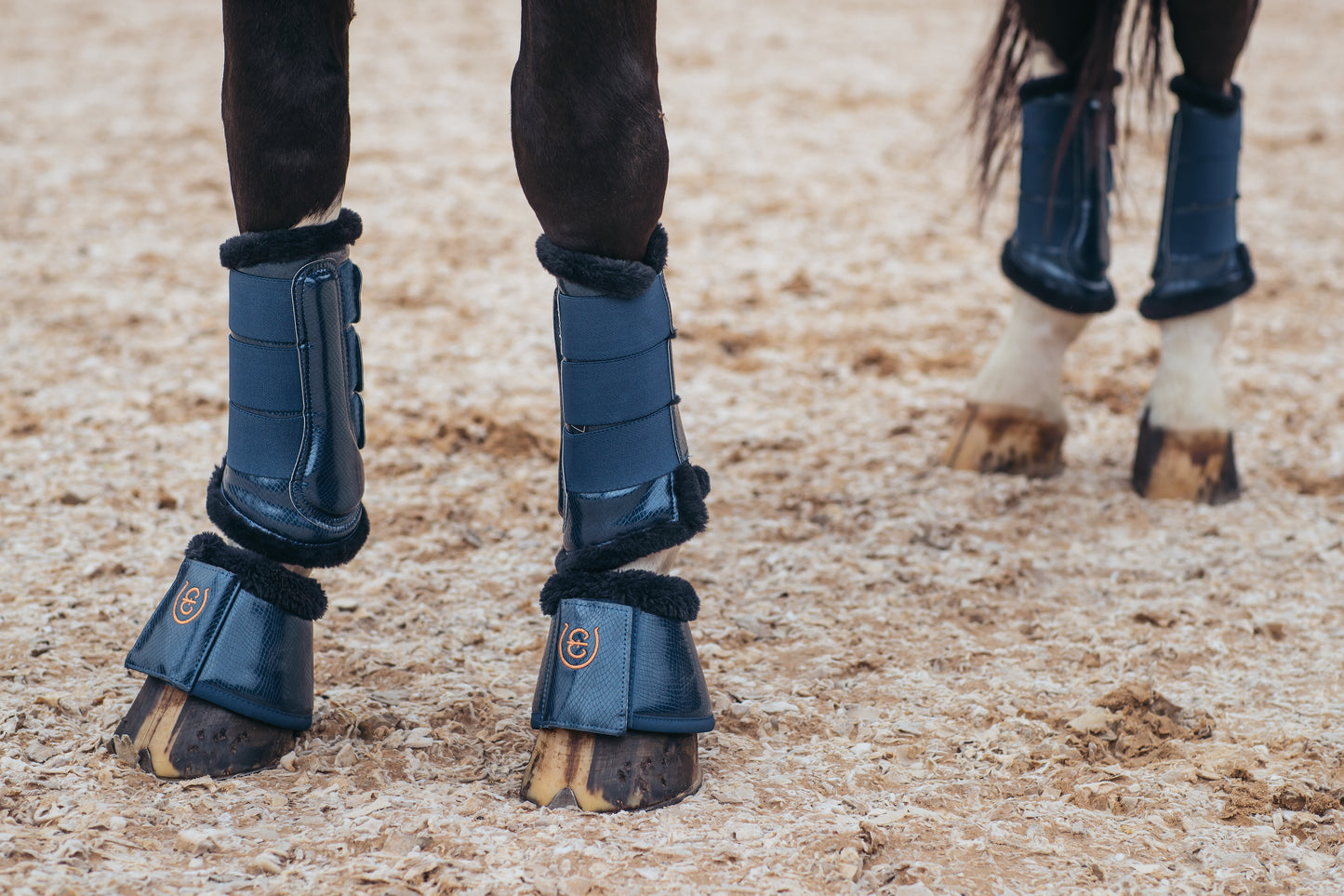Guêtres de dressage Monaco Blue - Equestrian Stockholm