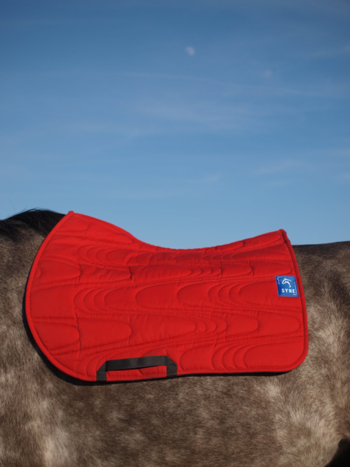Tapis mixte Synergie rouge - Syne