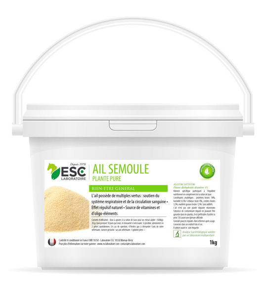 Ail Semoule - ESC Laboratoire