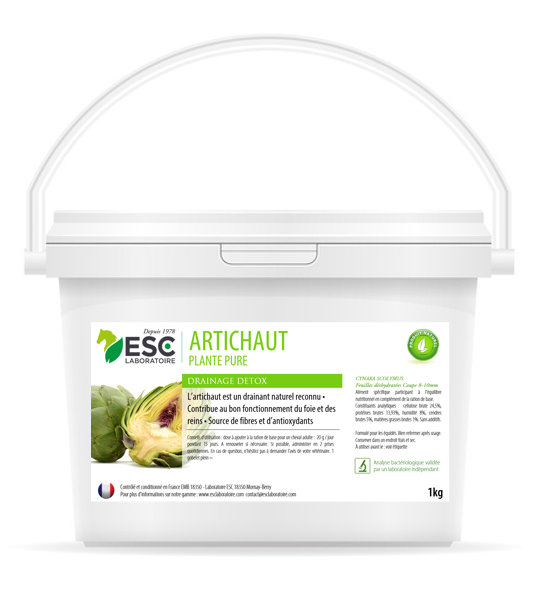 Artichaut - ESC Laboratoire