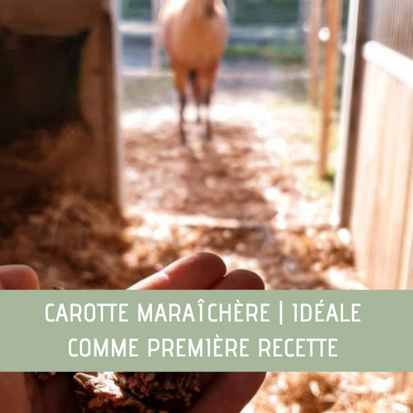 Friandises carottes maraîchères - CZH'Feed & Care