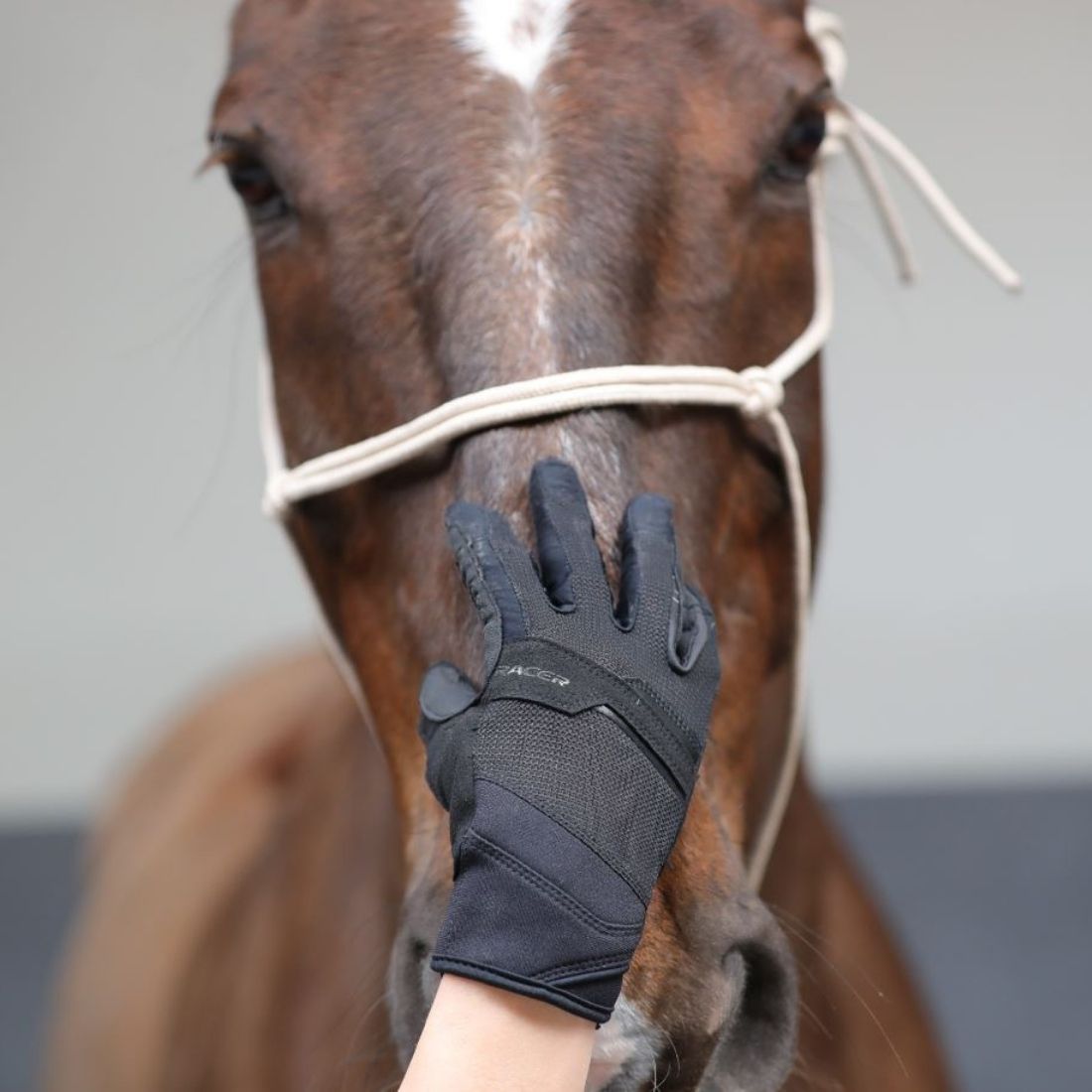 Gants équitation Evolution - Racer