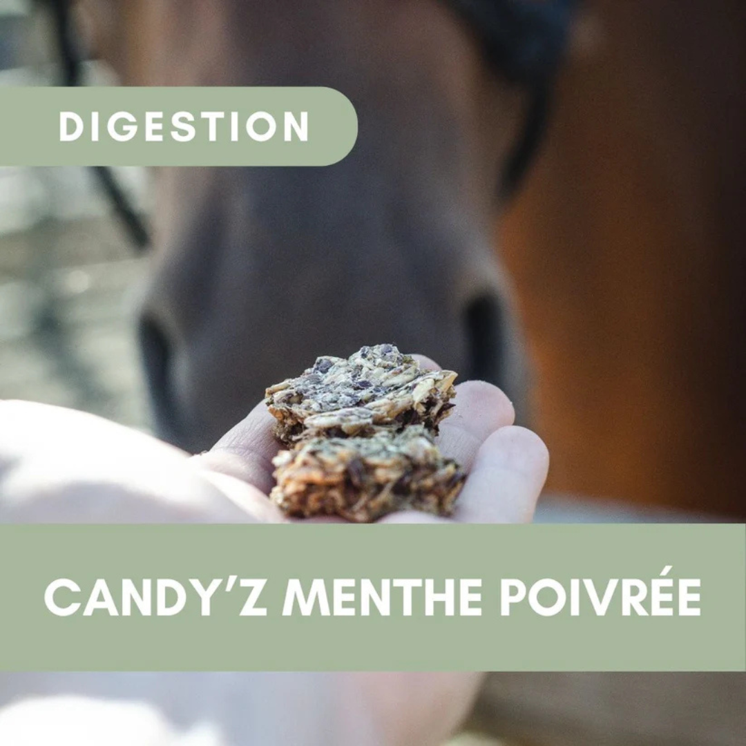 Friandises menthe poivrée - CZH'Feed & Care