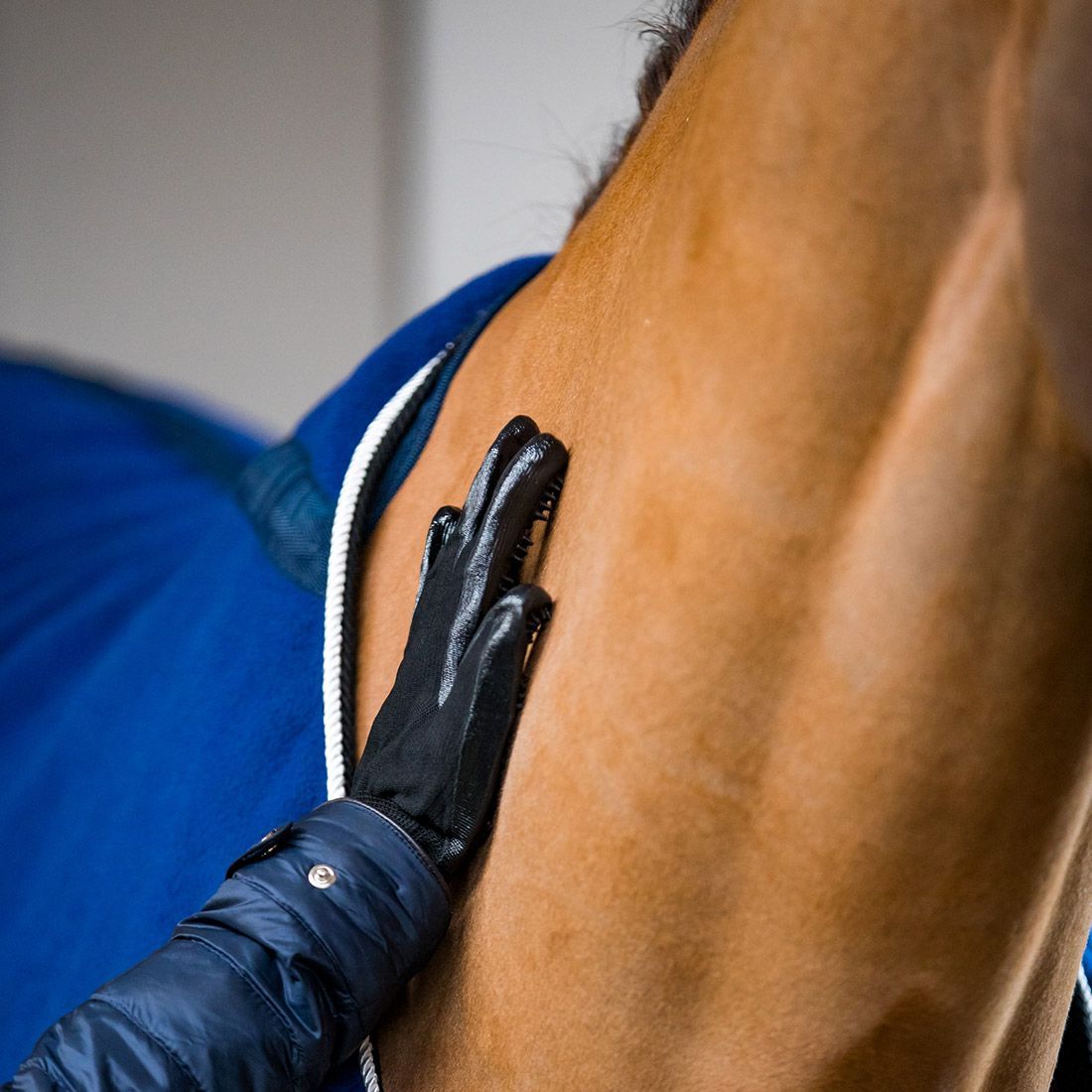Gants de pansage Récréation - Racer