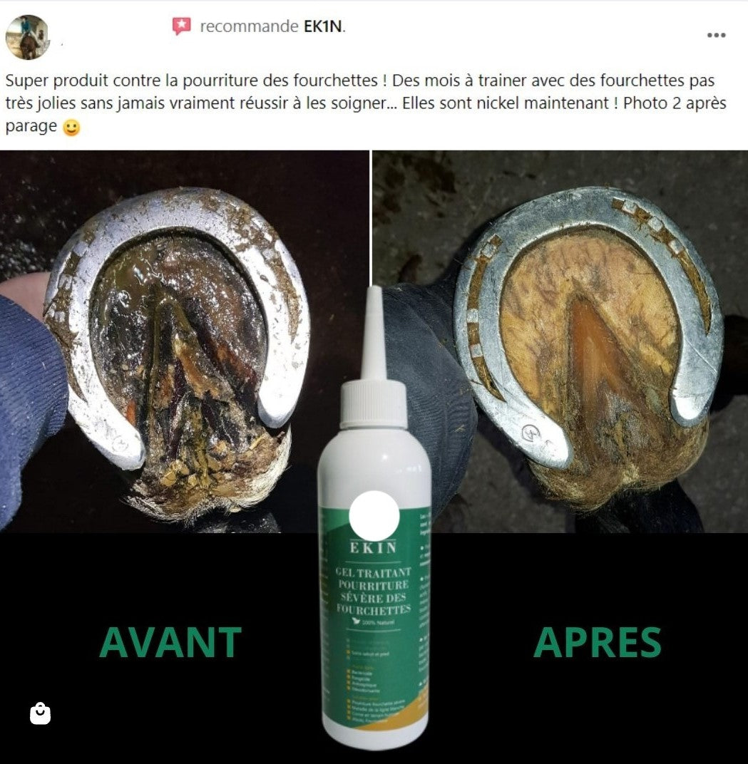 Gel traitant pourriture sévère de la fourchette - Ekin