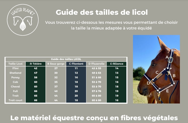 Licol Elgantine - Halter Planet