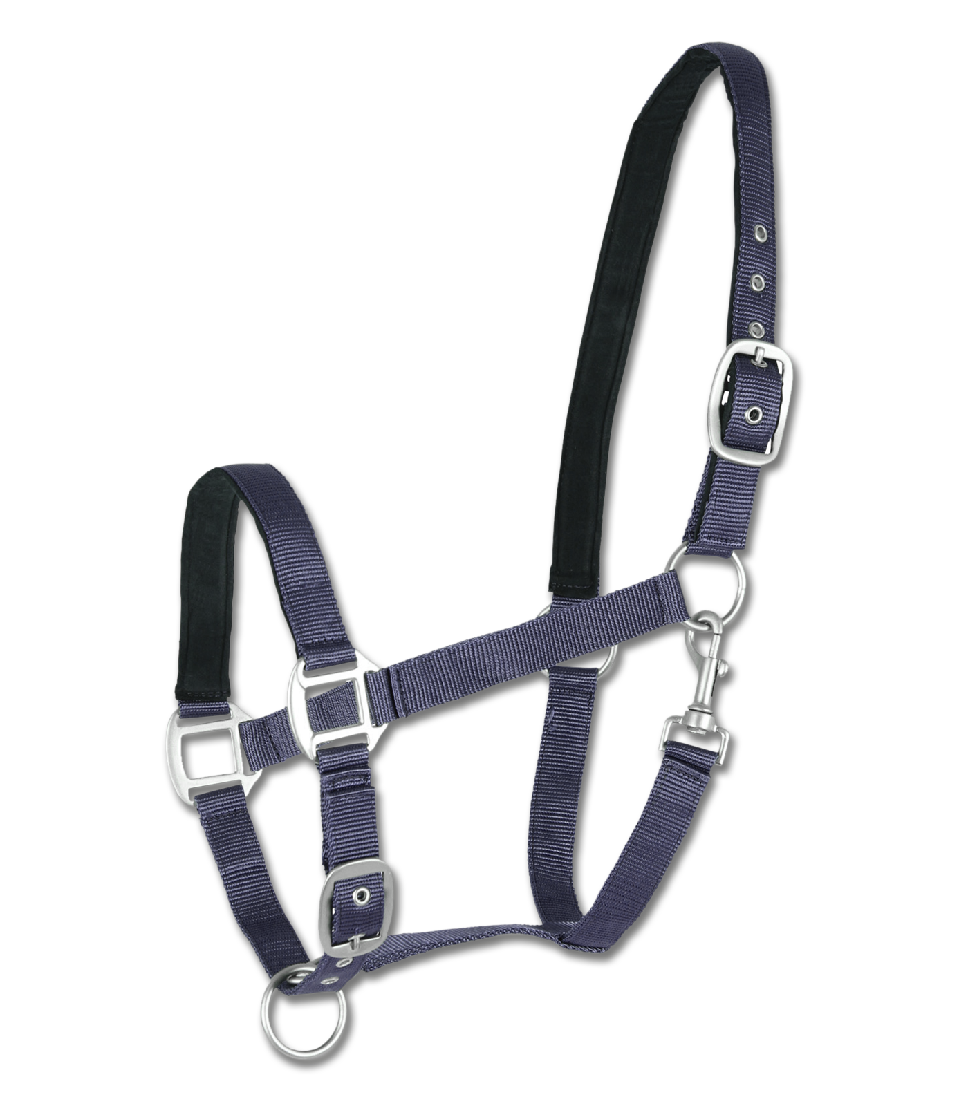 Licol Satin Bleu Grand Cheval ou Trait - Waldhausen