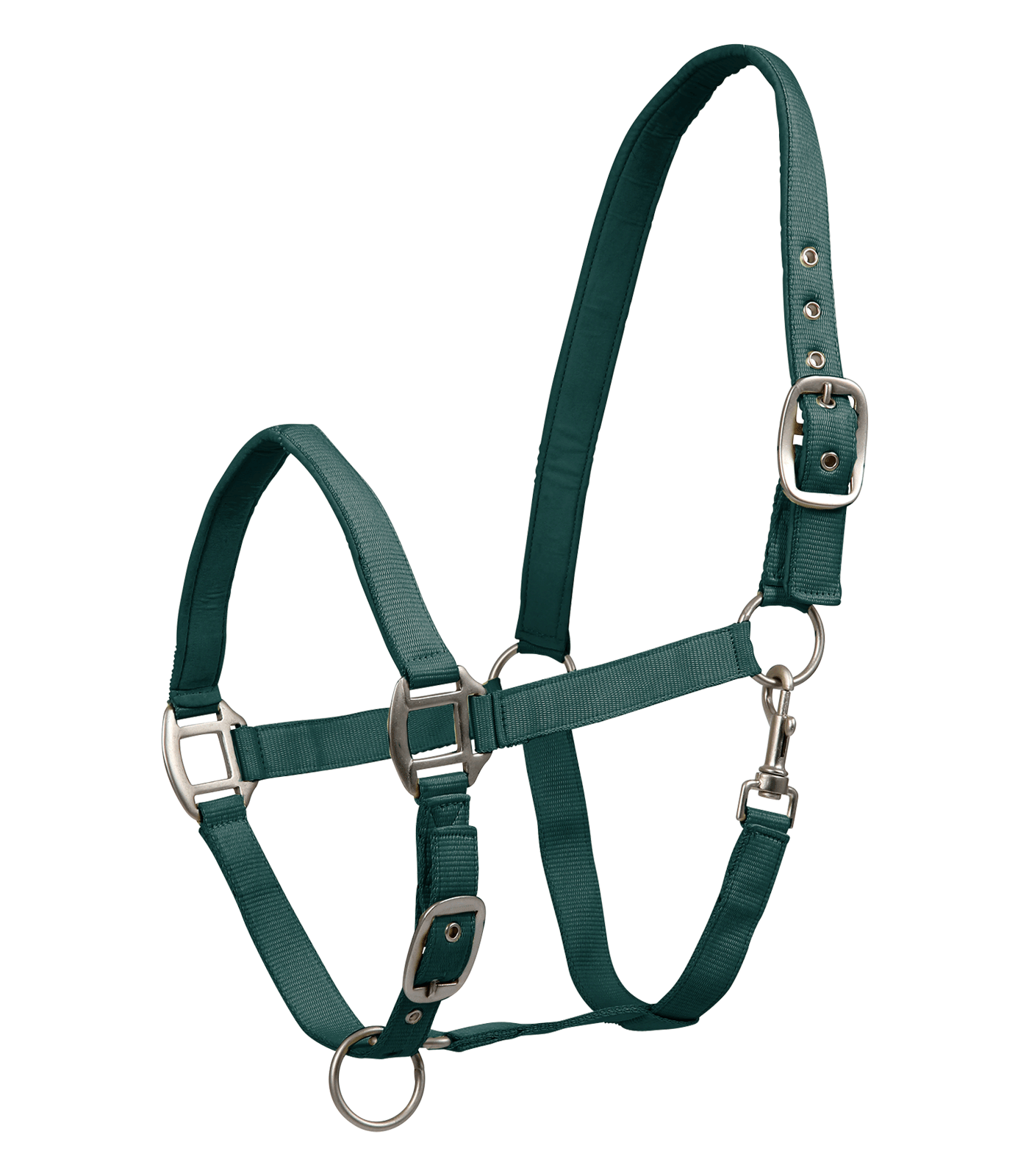 Licol Satin Vert - Waldhausen