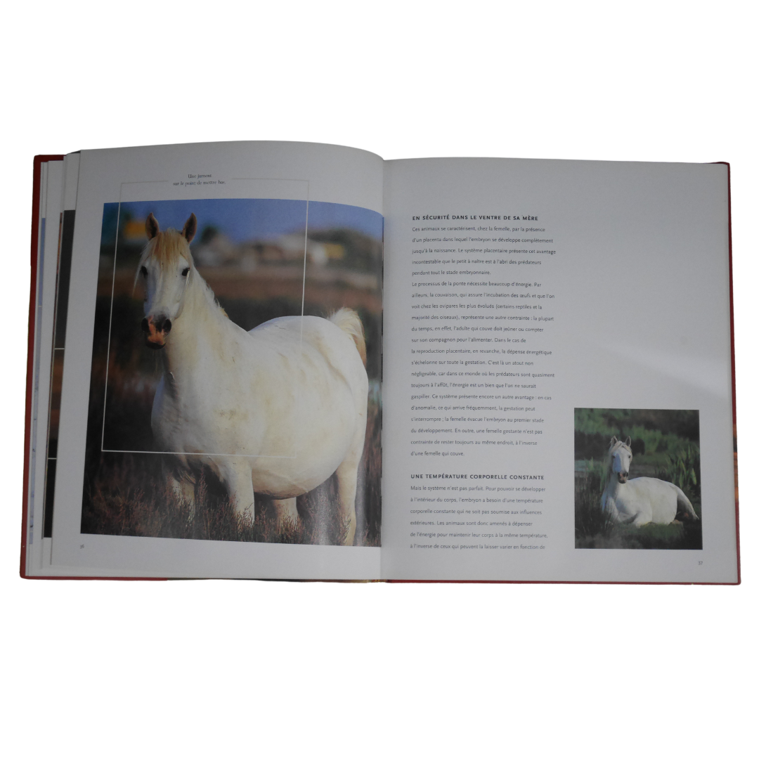 Livre la vie fascinante des chevaux Larousse - Occasion
