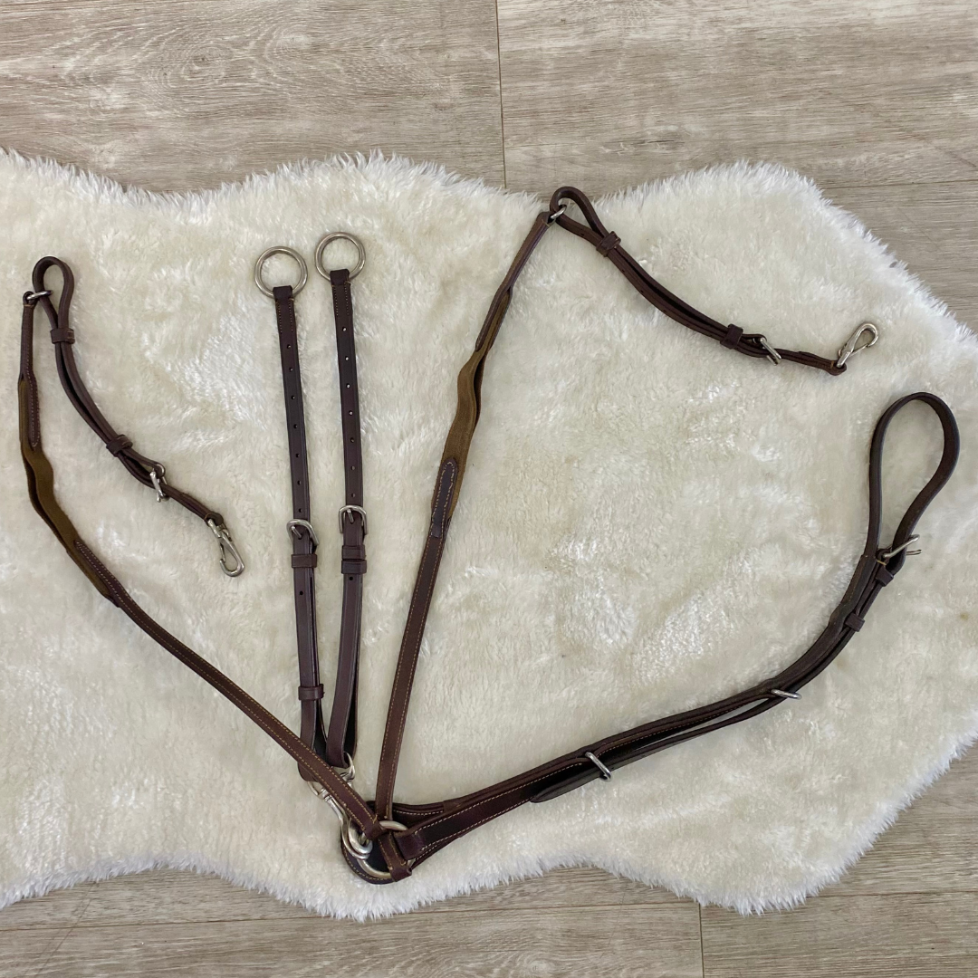 Collier de chasse et Martingale - Occasion