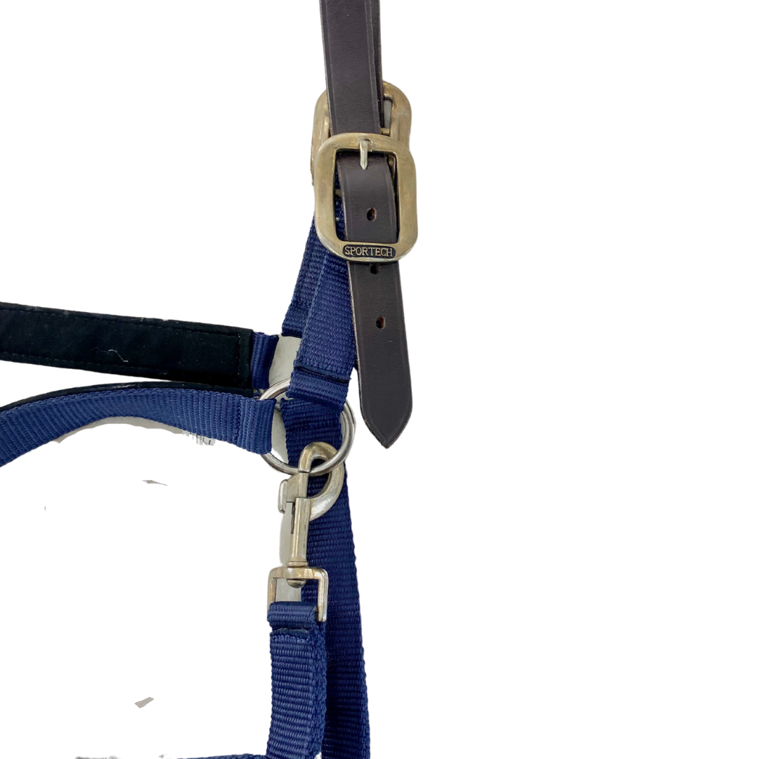 Licol marine en cuir marron - Sportech - Occasion