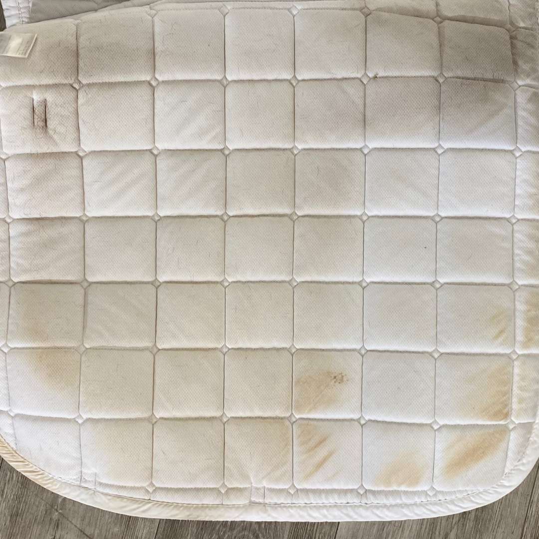 Tapis de selle de dressage blanc HV Polo - Occasion