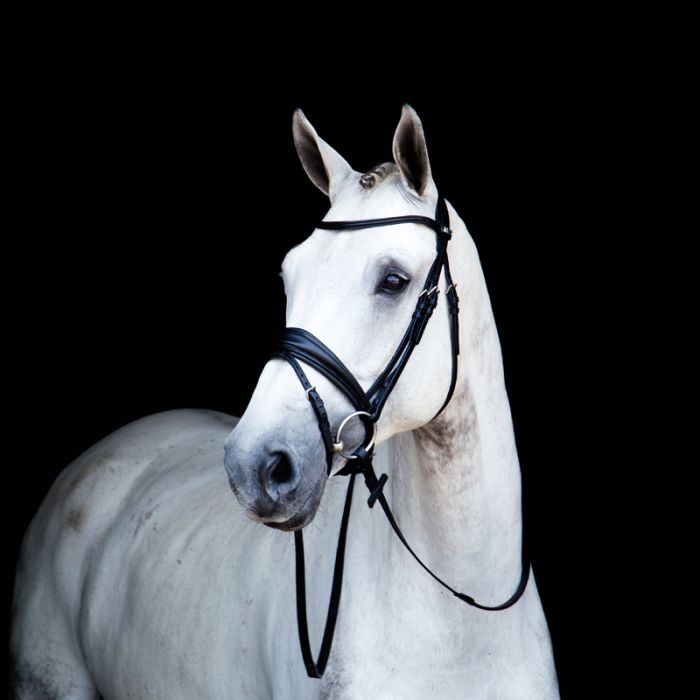 Bridon/ Bride Switch 2800 noir et blanc - Stübben