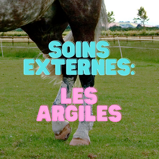 Les soins à l'argile