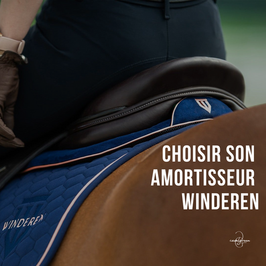 Comment choisir mon amortisseur Winderen ?