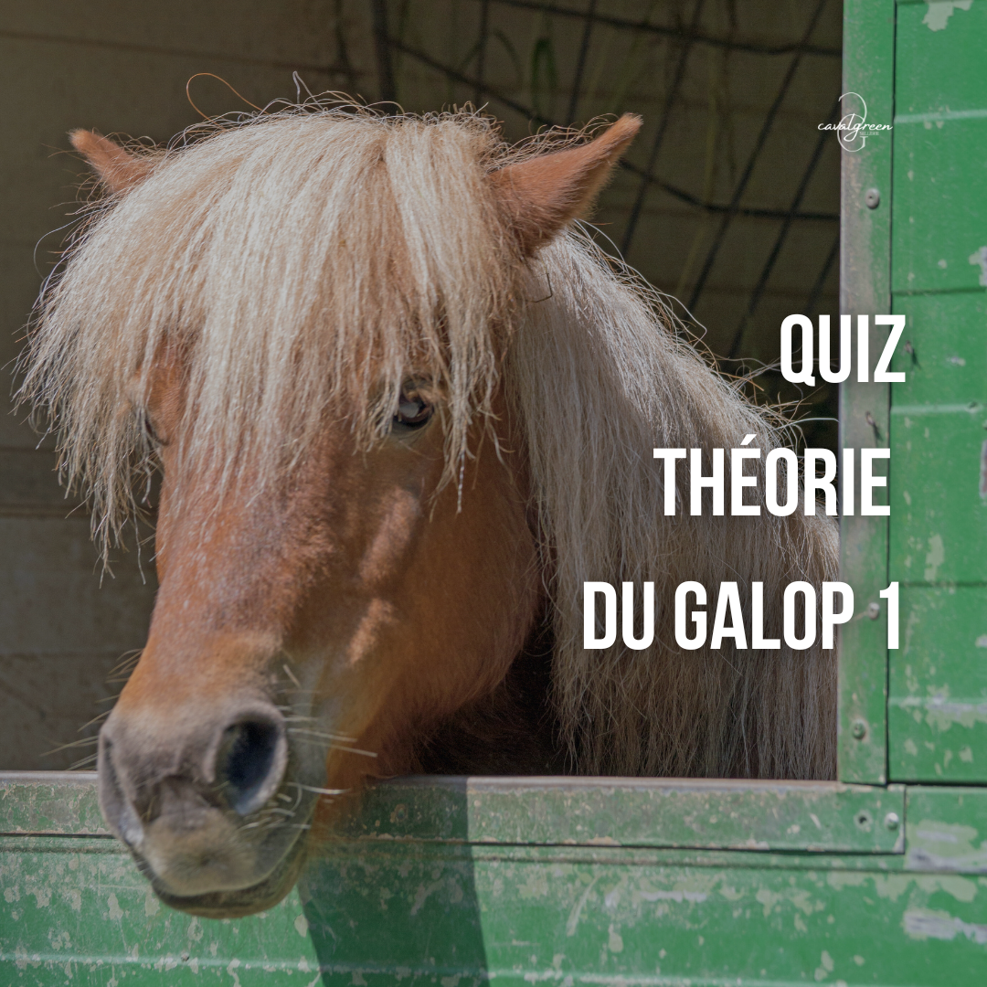 Quiz Galop 1