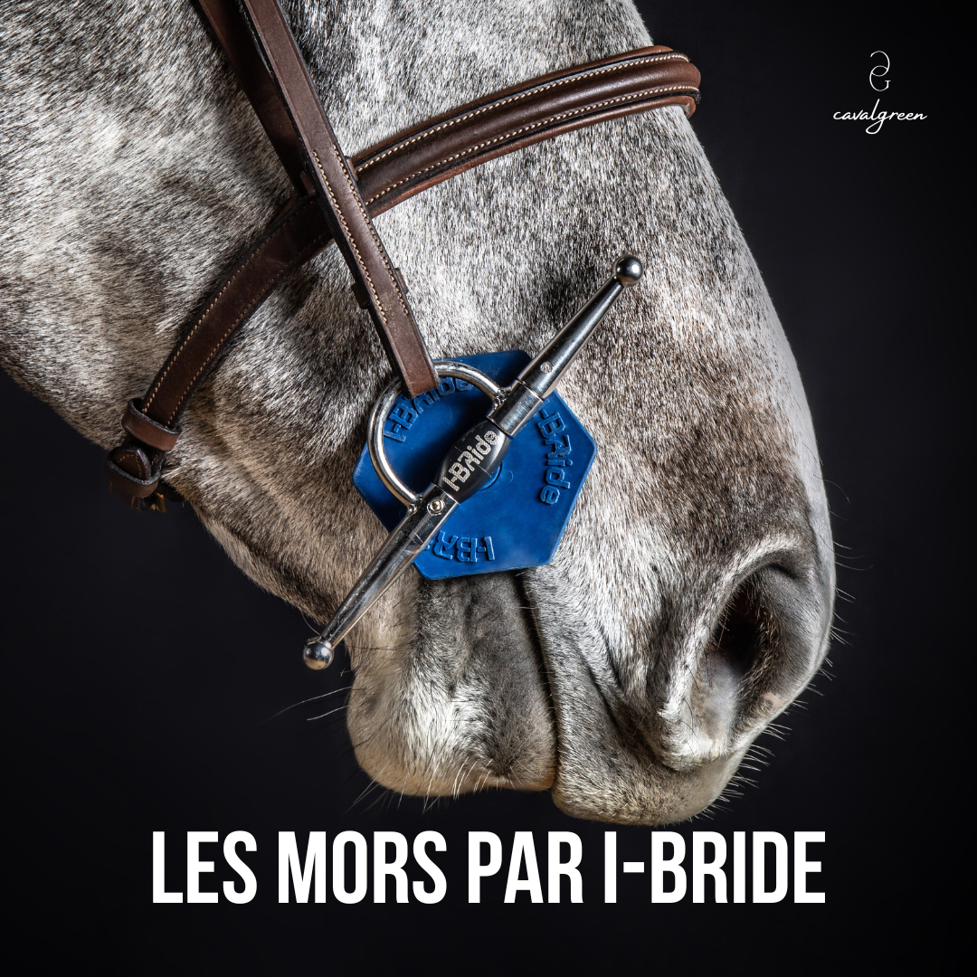 Zoom sur les mors I-Bride