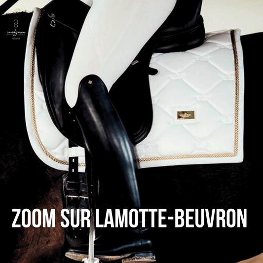 C'est quoi Lamotte Beuvron ?