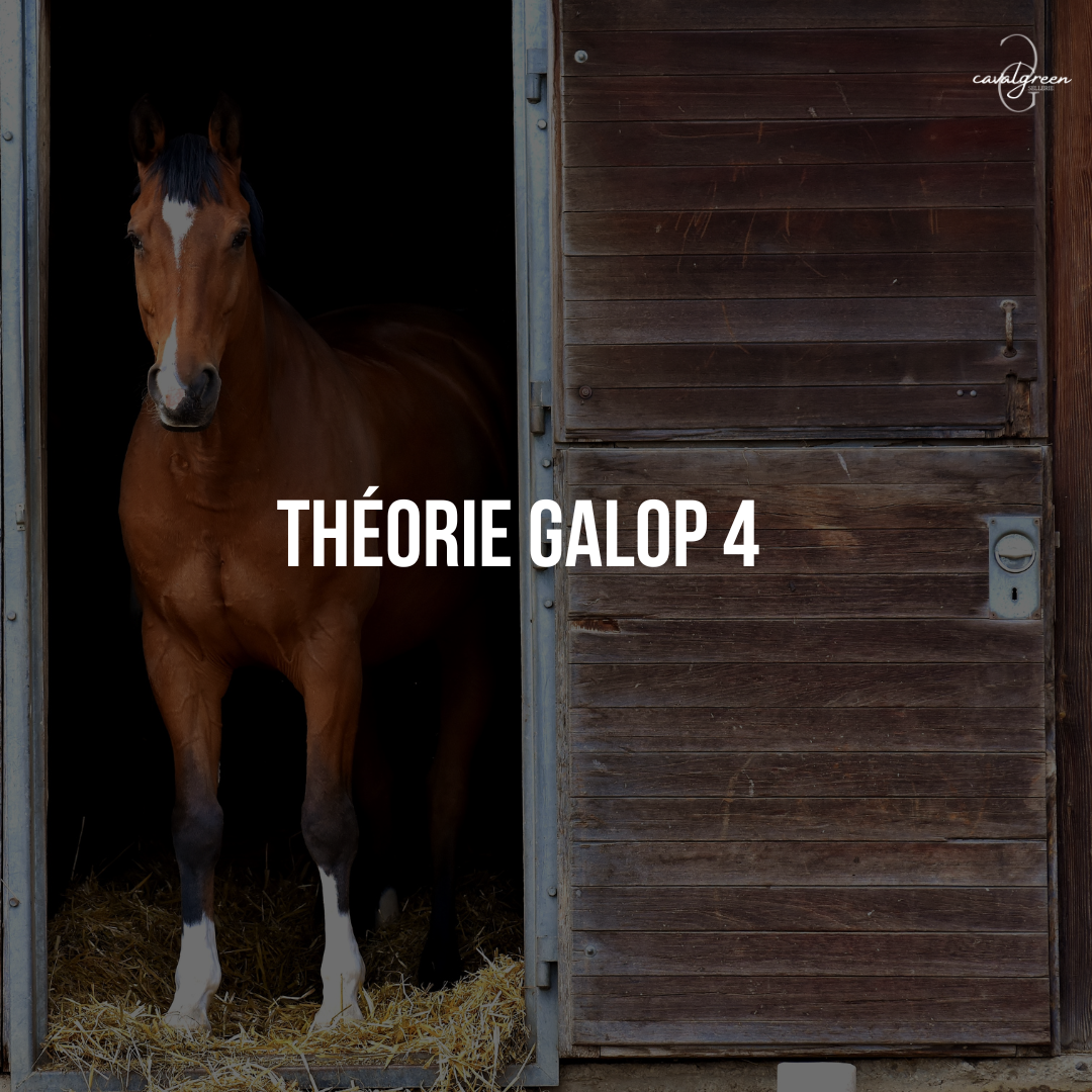 Préparer la théorie de son Galop 4