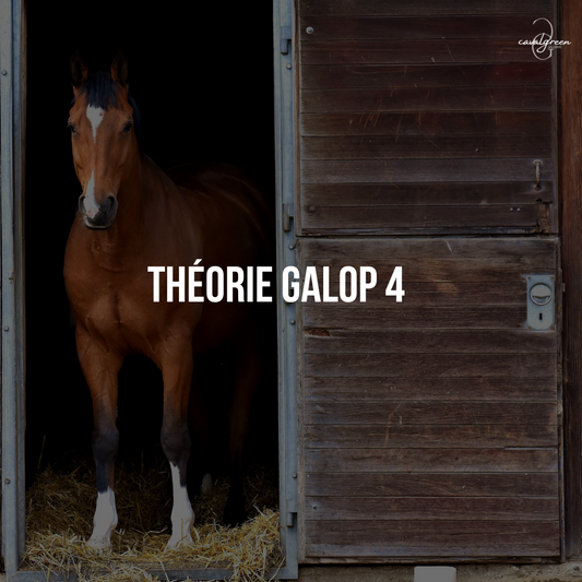 Préparer la théorie de son Galop 4