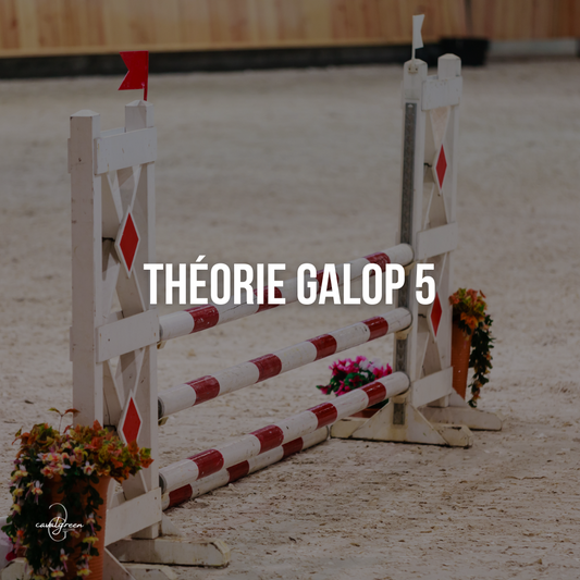 Préparer la théorie de son Galop 5