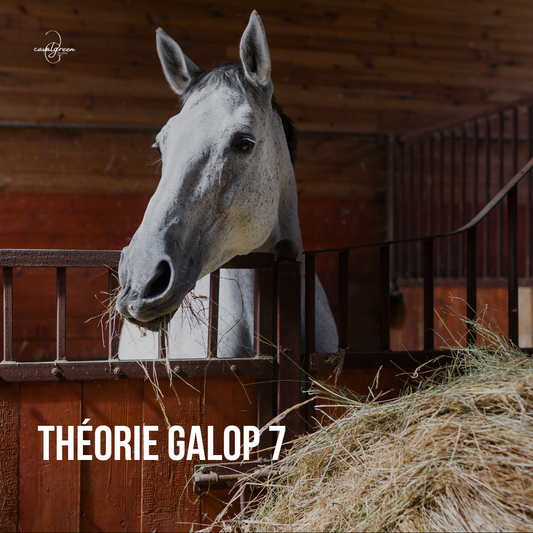 Préparer la théorie de son Galop 7