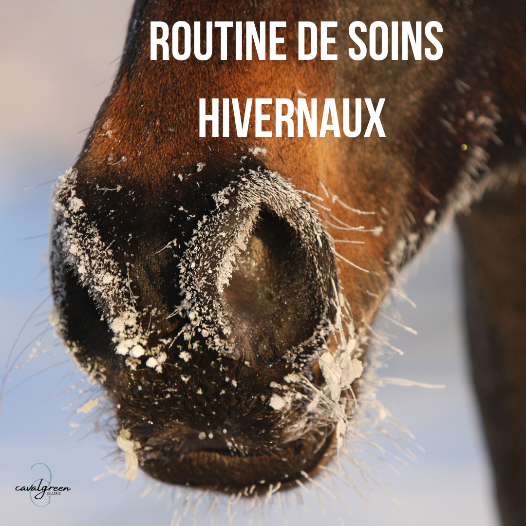 La routine des soins hivernaux