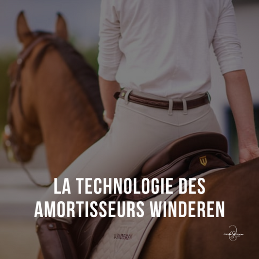 La technologie des amortisseurs Winderen