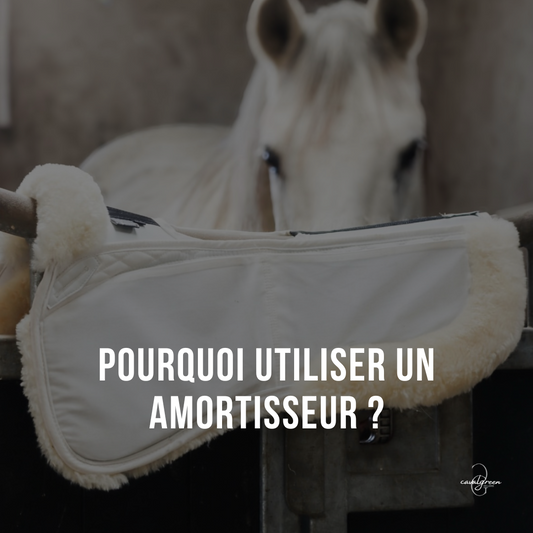 Pourquoi utiliser un amortisseur ?