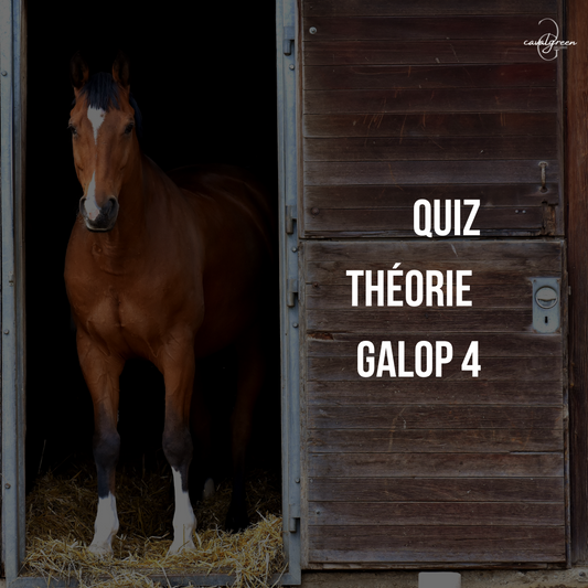 Quiz Galop 4