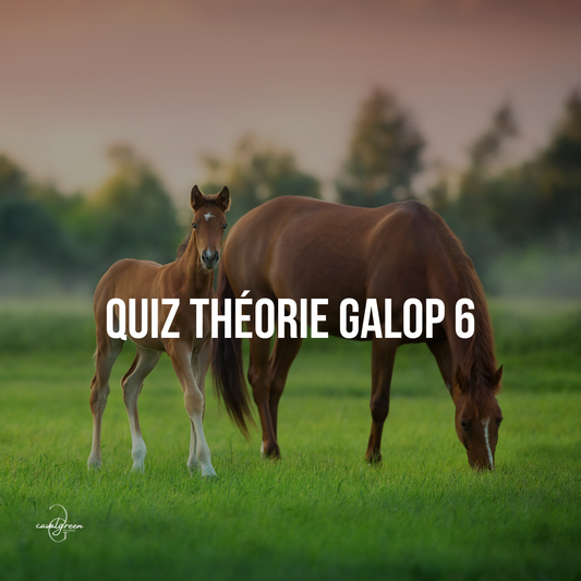 Quiz Galop 6