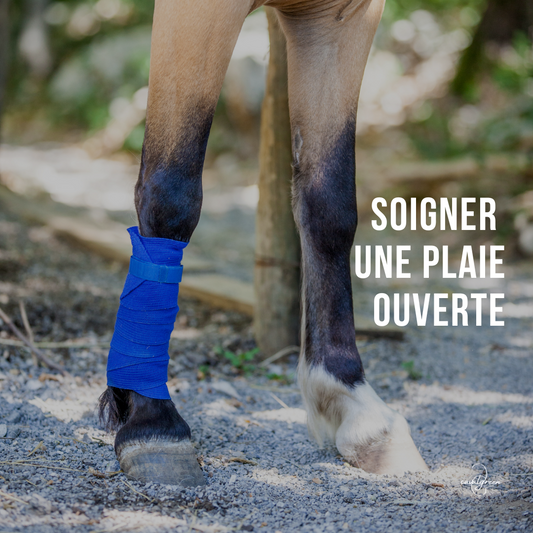 Soigner une plaie ouverte