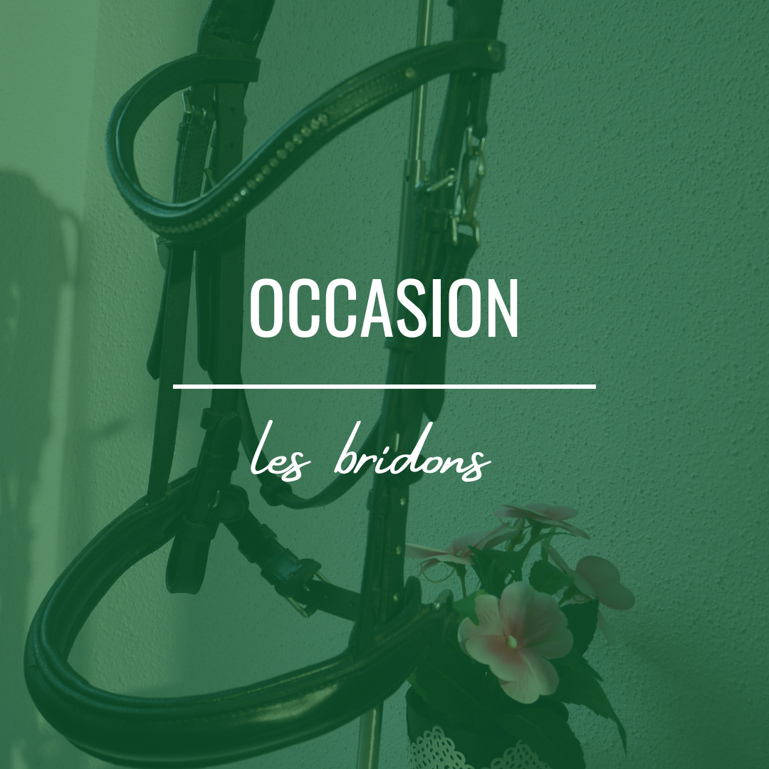 Bridon Occasion