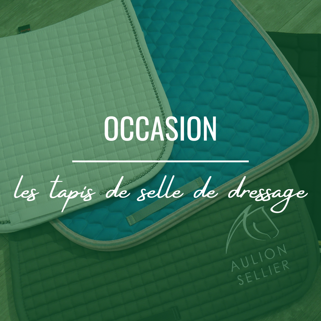 Tapis de selle de dressage Occasion