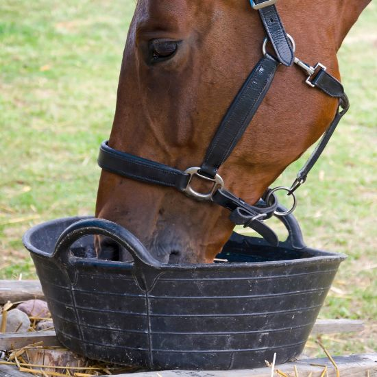 Compléments alimentaires