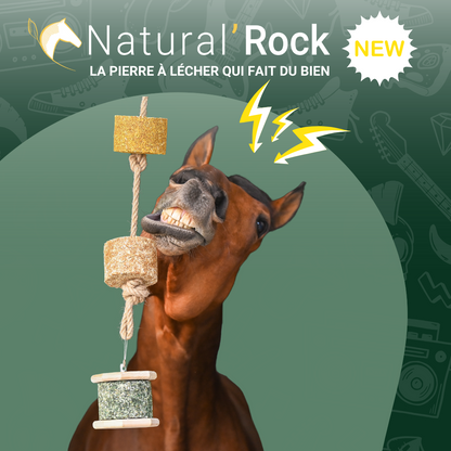 Support Natural'Rock - Natural'Innov