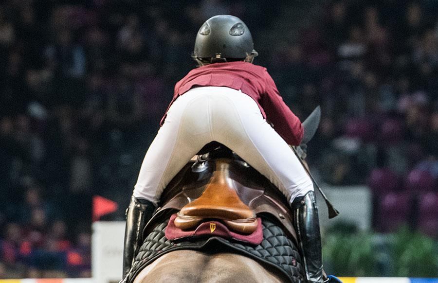 Amortisseur Jumping Bordeaux Claret - Winderen