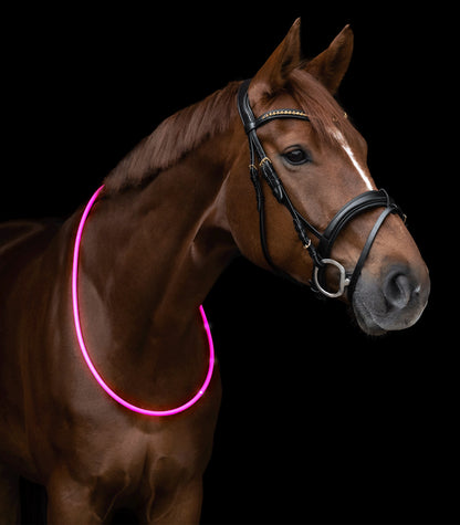 Collier d'encolure cheval LED rose - Waldhausen