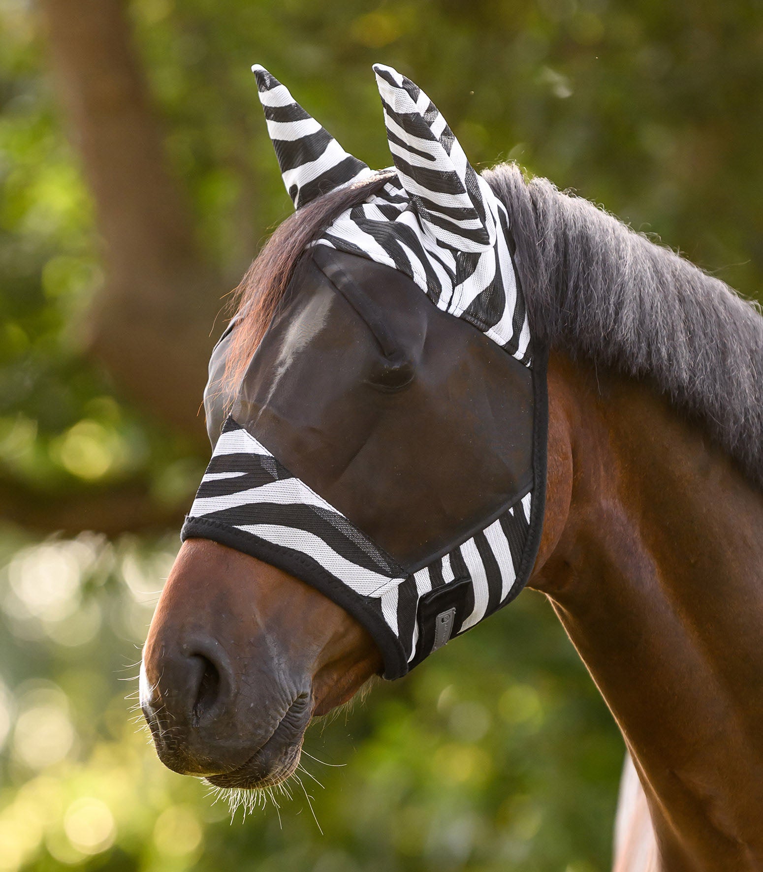 Masque anti-mouches Zebra - Waldhausen