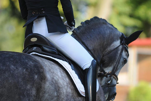 Amortisseur Dressage Coal - Winderen
