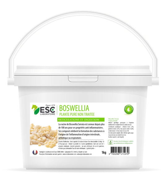 Boswellia Serrata - ESC Laboratoire